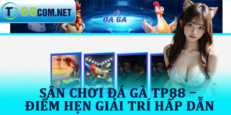 Sân Chơi Đá Gà TP88 – Điểm Hẹn Giải Trí Hấp Dẫn