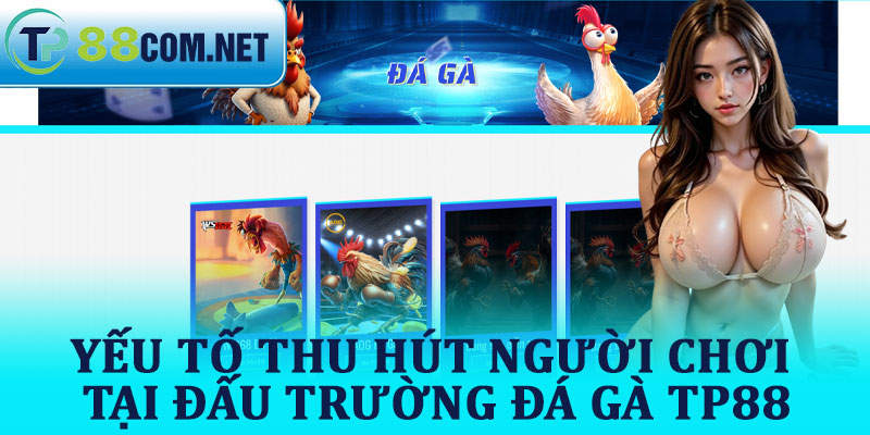 Yếu Tố Thu Hút Người Chơi Tại Đấu Trường Đá Gà TP88