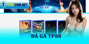 Đá Gà TP88